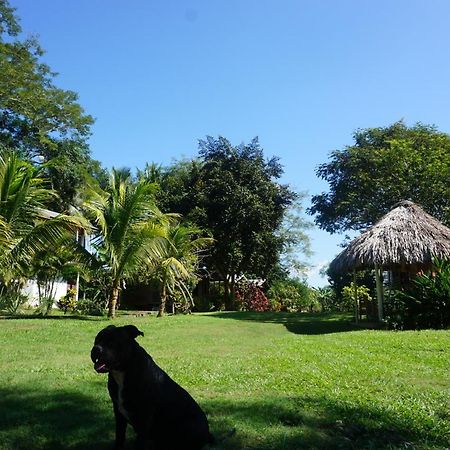 Mana Kai Camping & Cabins San Ignacio Exterior photo