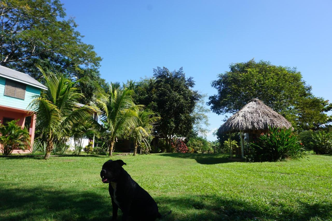 Mana Kai Camping & Cabins San Ignacio Exterior photo