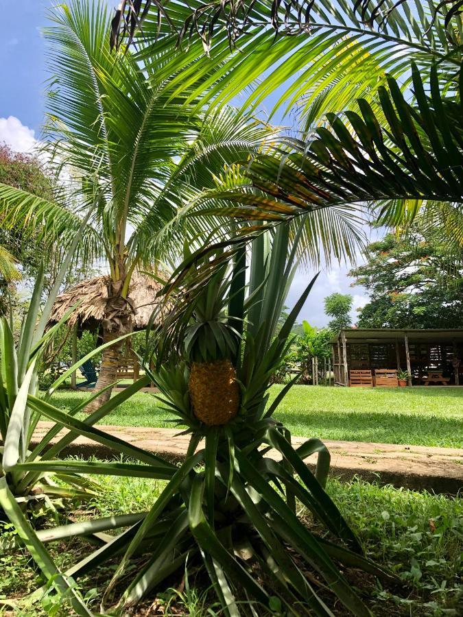 Mana Kai Camping & Cabins San Ignacio Exterior photo